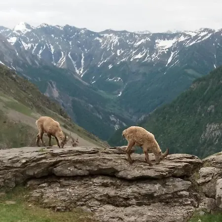 Holiday home A La Montagne Saint-Julien-en-Champsaur